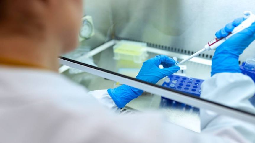 AFIP determinará la asignación a trabajadores de la Salud
