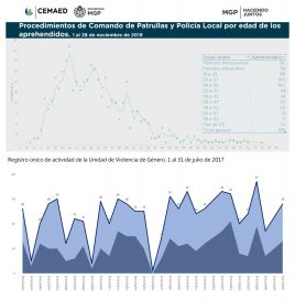 Cemaed: un informe que no dimensiona la complejidad de la seguridad en Mar del Plata