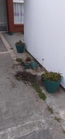 Ataque vandálico a jardín  de infantes municipal: piden la intervención de Seguridad