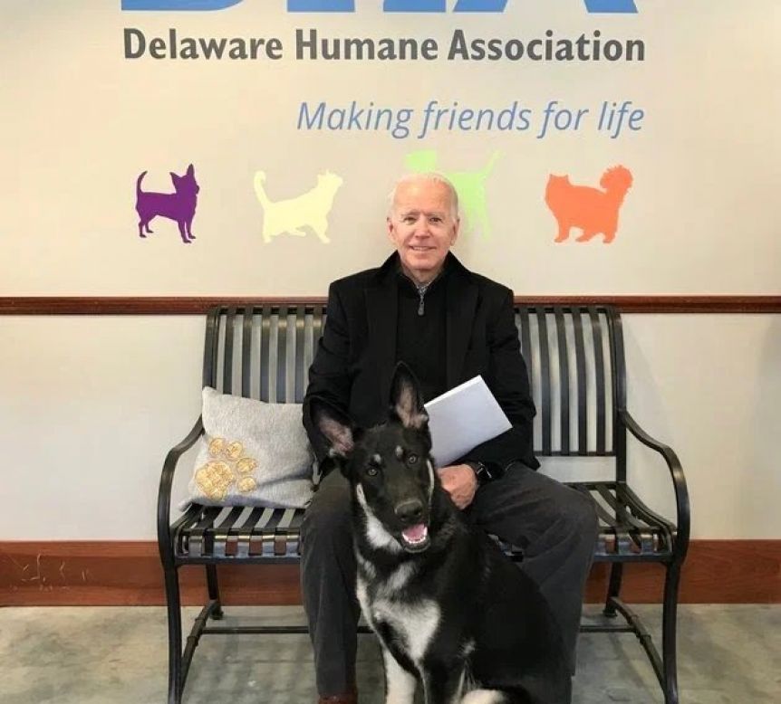 Joe Biden se fracturó el pié mientras jugaba con su perro