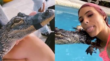 Stefi Roitman pidió disculpas luego de ser acusada de promover el maltrato animal