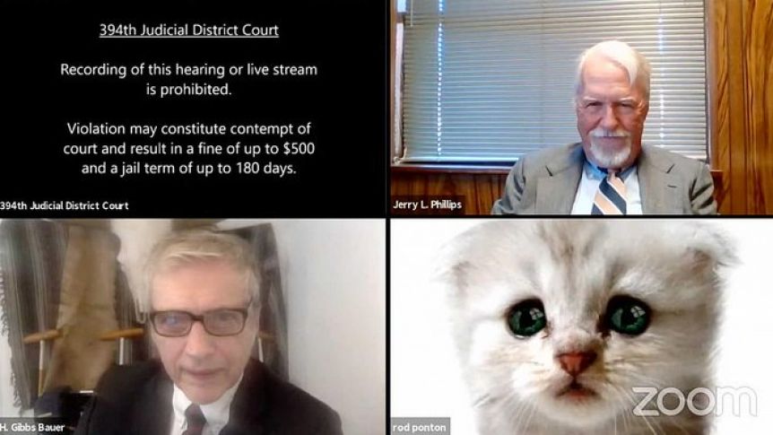 Un abogado salió en una videoconferencia con un filtro de gato y se hizo viral