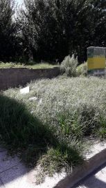 Puerto: microbasurales, falta de luminarias y creciente inseguridad