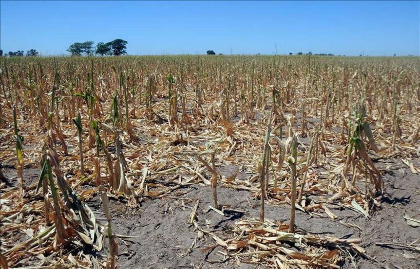 Sequía y bronca: el campo comienza a presionar por medidas concretas