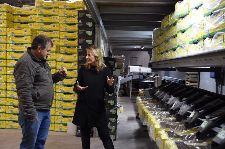 Sánchez Herrero: “En Sierra de los Padres se produce el 80% del kiwi nacional que se consume en el país