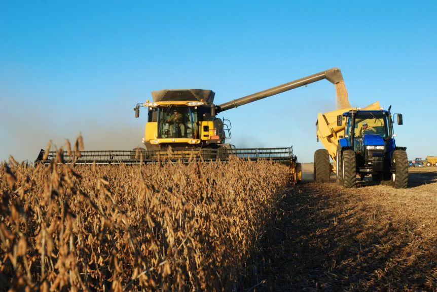 El campo baja el pulgar: 8 de cada 10 productores cree que la economía empeorará en un año