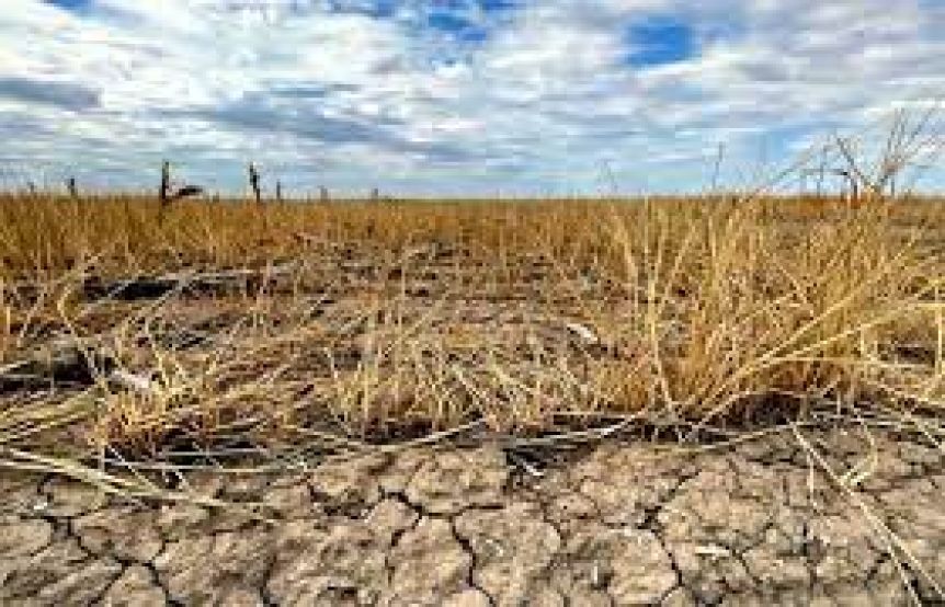 El gobierno abre la agenda y define la asistencia a productores agropecuarias