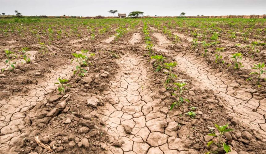 Confederaciones Rurales Argentinas estima que se perderán hasta US$25 mil millones
