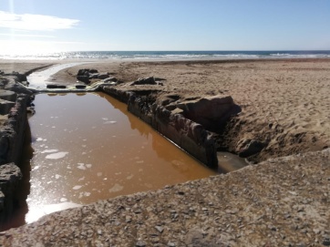 Merlini y un desastre ambiental en el Puerto: cedió un tanque y se derramaron 40 mil litros de líquidos contaminantes