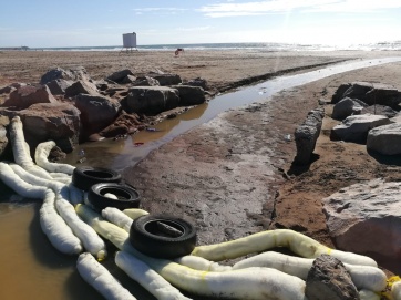 Merlini y un desastre ambiental en el Puerto: cedió un tanque y se derramaron 40 mil litros de líquidos contaminantes