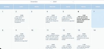 Tras una única oferta, el municipio relanzó la licitación para adquirir armamento no letal