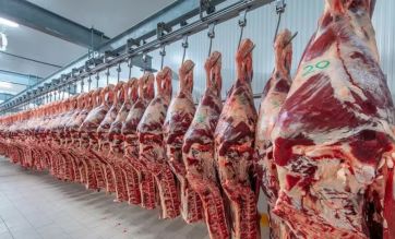 ¿Otro golpe en medio de la crisis?: EE UU amaga con no comprar más carne argentina