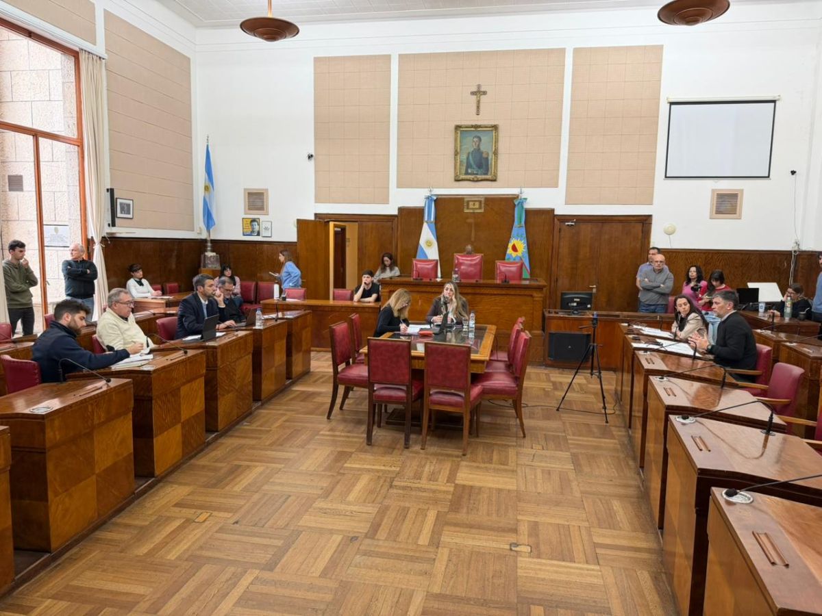 El COM se apoderó de la Comisión de Seguridad