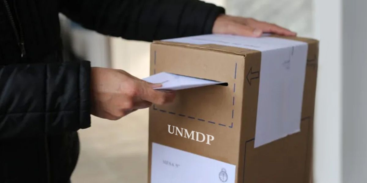 Elecciones en la UNMDP: el semillero político bajo la lupa de la dirigencia marplatense