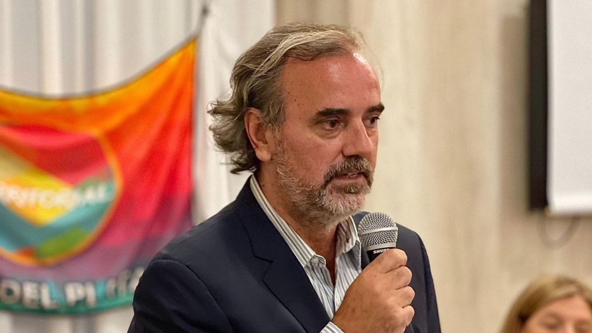 Giri salió a respaldar a Neme y expuso el ruido interno en el PRO: “Déjenlo laburar tranquilo”